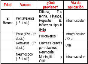 de recién nacido hasta 2 meses de vida